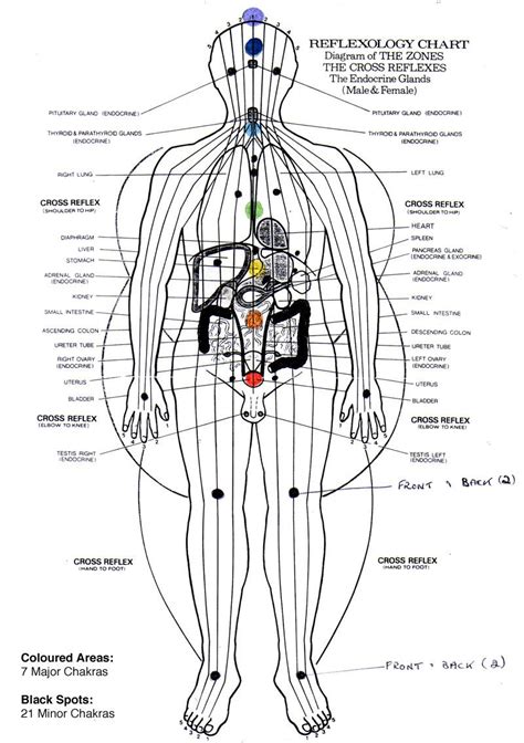 Pin By Flathorn On Body Energy Reflexology Chart Reflexology