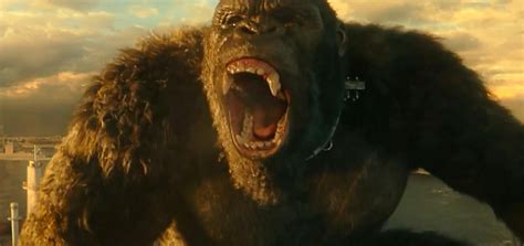 Guap sensei & mango the only) gg. Godzilla vs. Kong revela nuevas imágenes junto a sus juguetes