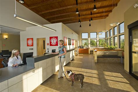 Emergency Animal Clinic Reception
