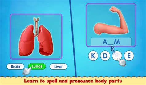 Human Body Parts Preschool Kids Learning Apk Para Android Download