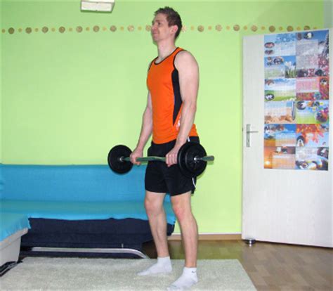 Check spelling or type a new query. Biceps-Curl With EZ Bar, Overhand Grip Form, Muscles ...