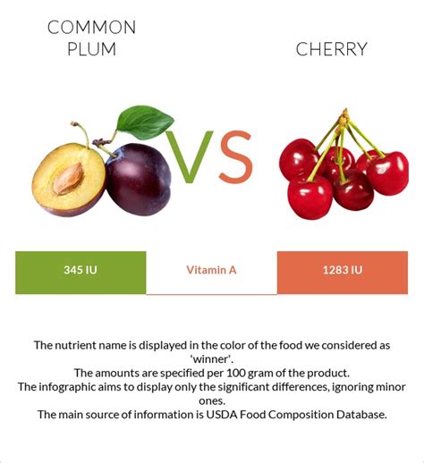 Plum Vs Cherry — In Depth Nutrition Comparison