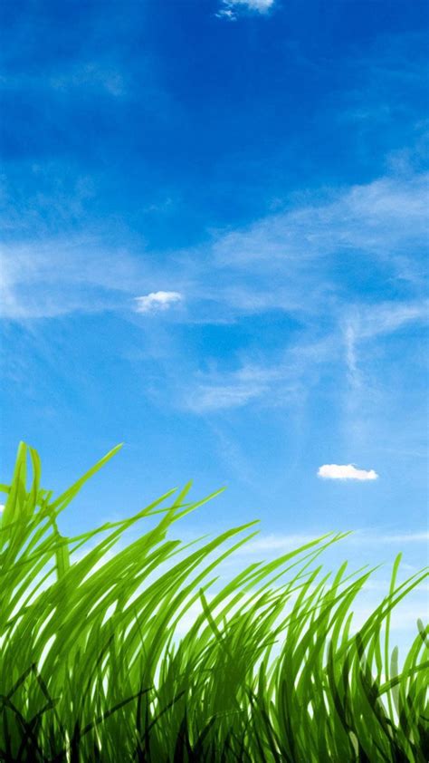 Blue Sky Green Grass Wallpaper 59208