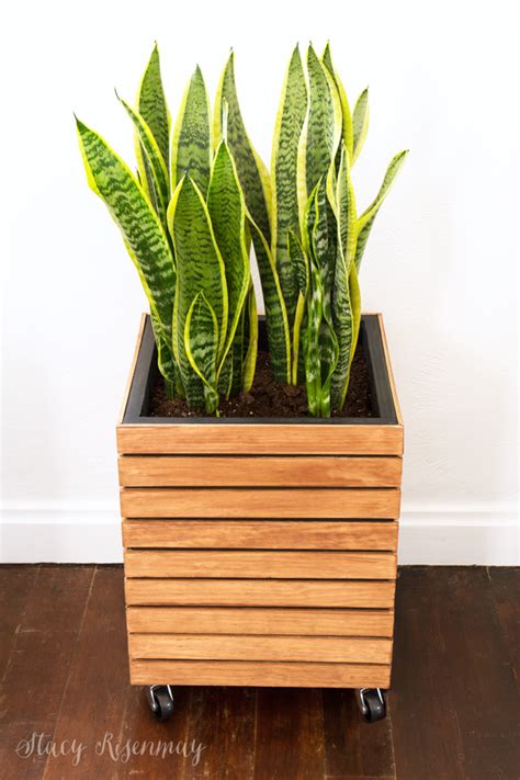 You can learn how to build one of these planters quickly and with little damage to your wallet. DIY Modern Planter Box - Stacy Risenmay