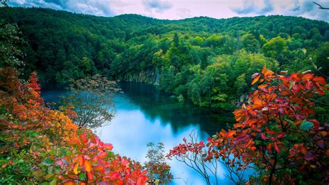 Autumn Forest Lake Trees Waterfalls Landscape Hd Desktop Wallpaper