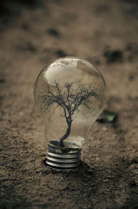 In A Lightbulb In 2020 Surrealism Photography