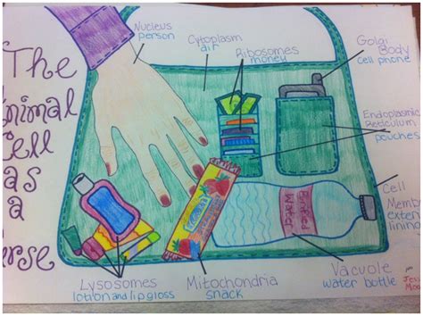 Check spelling or type a new query. Pin by Payt :) on SchOol | Cell city project, Animal cell ...