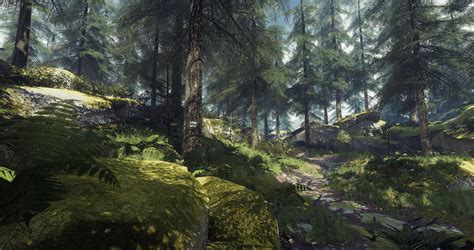Ue4 Forest Path — Polycount