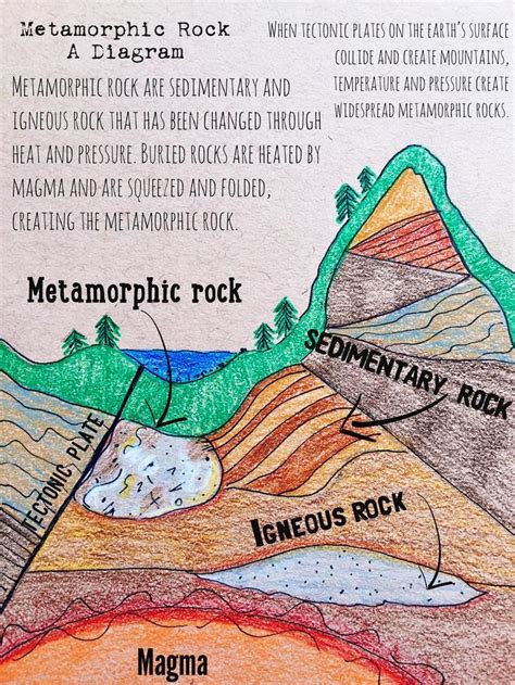 Metamorphic Rocks And Activity Cards Pdf Etsy Metamorphic Rocks