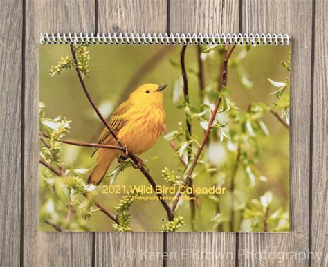 2021 Bird Wall Calendar Bird Calendar Songbird Calendar Etsy