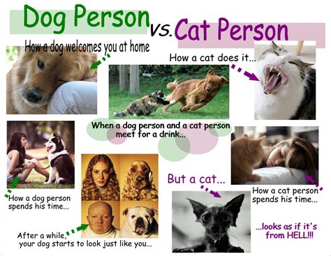 Dog Person Vs Cat Person Visually