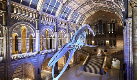 The Top Events Attractions And Things To Do In London