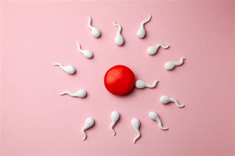 female fertility test zendxb