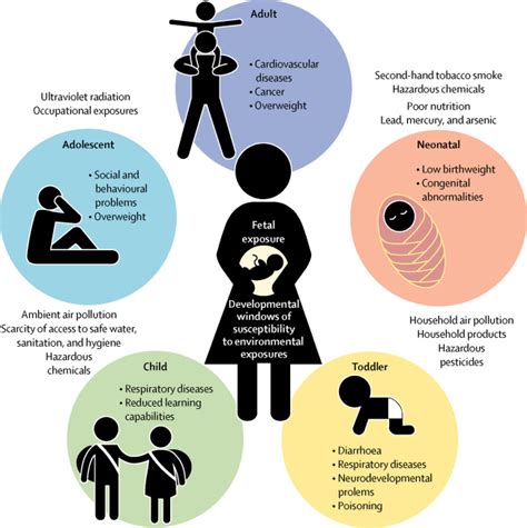 Avoidable Early Life Environmental Exposures The Lancet Planetary Health