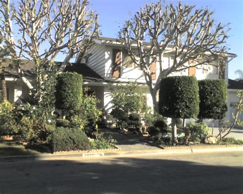The median rent in downey is $1,937. A picture of the famous music group The Carpenters Downey ...