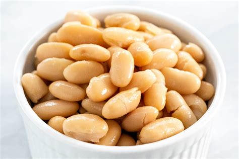 18 Types Of Beans Most Popular Jessica Gavin