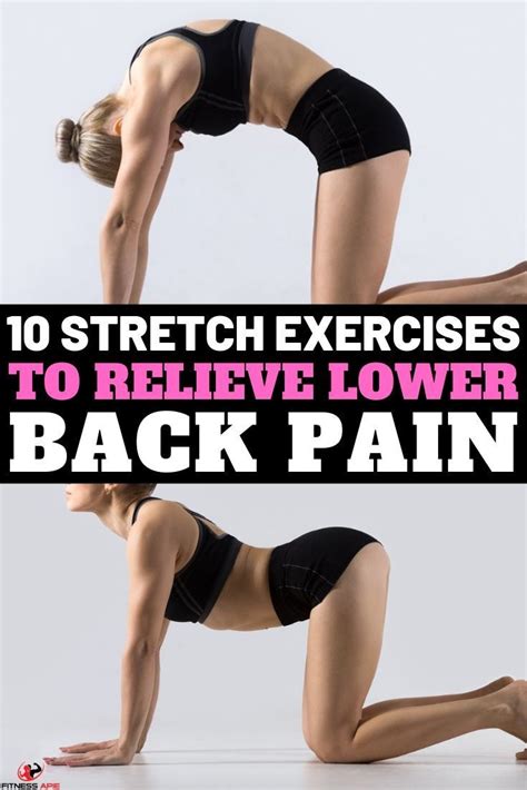 Stretch Exercises That Will Help You Relieve Lower Back Pain Artofit