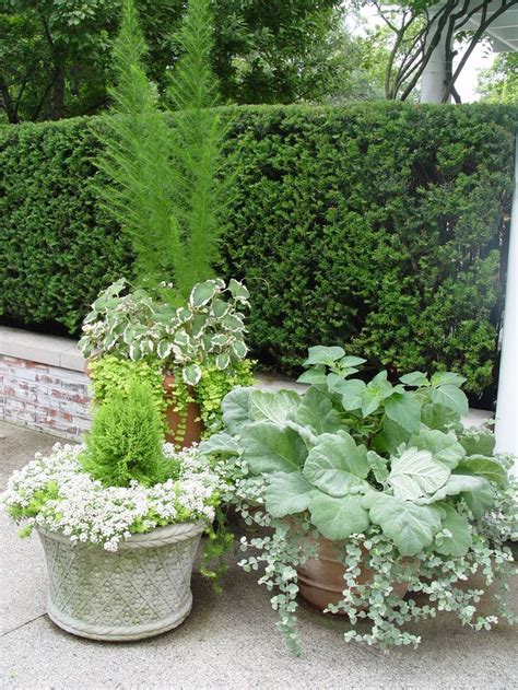 1605 Best Container Gardening Ideas Images On Pinterest