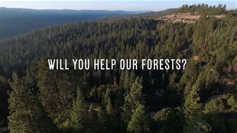 Launching A Campaign To Plant 50 Million Trees For Our Forests Youtube