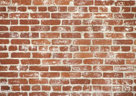Download Brick Wall Texture Photo Image Bricks Masonry By Ajimenez96
