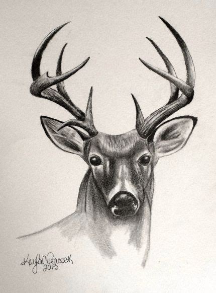 Deer Sketch Deer Drawing Deer Sketch Animal Sketches