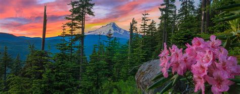 Mount Hood Oregon Cabin Rentals And Getaways All Cabins
