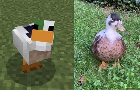 My Daughter Created Our Pet Duck In Minecraft Rminecraft