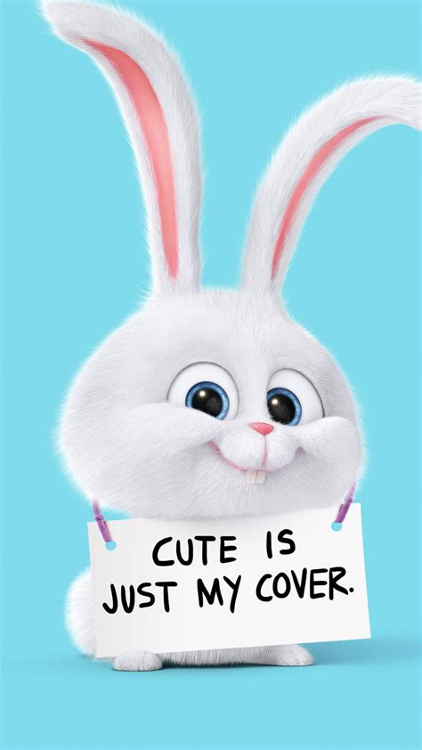 We met last year, when i was in another relationship you may not find us cute but we are made for each other. Cute Is Just My Cover Rabbit Android Wallpaper free download