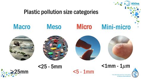 How Are Microplastics Harmful To The Precious Marine Ecosystem And Us
