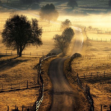 Country Road Beautiful Roads Country Roads Landscape