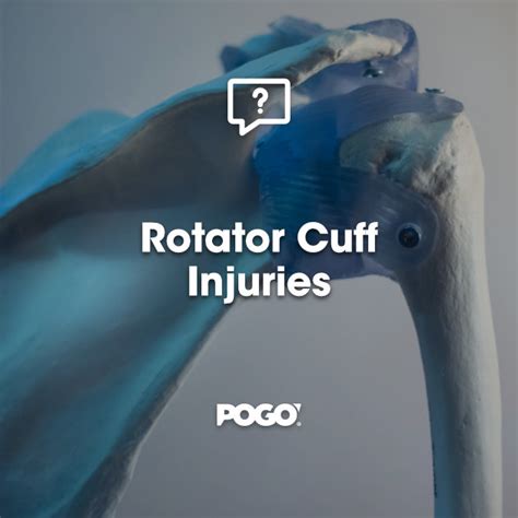 Rotator Cuff Injuries POGO Physio Gold Coast