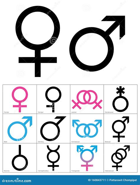 Gender Symbols Linear Black Blue And Pink Colour Icons Of Gender