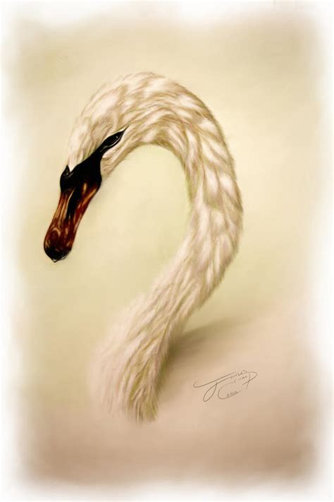 Swan Colour Pencil And Digital Painting By James Cramp Art On Deviantart