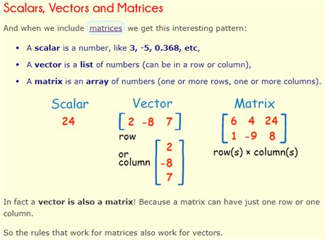 Understanding Scalar And Vector Quantities A Plus Topper
