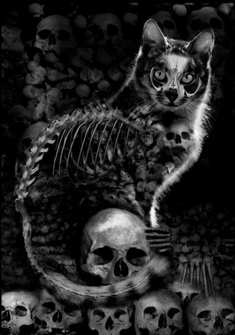 Skeleton Cat Cat Art Gothic Art Cat Skeleton