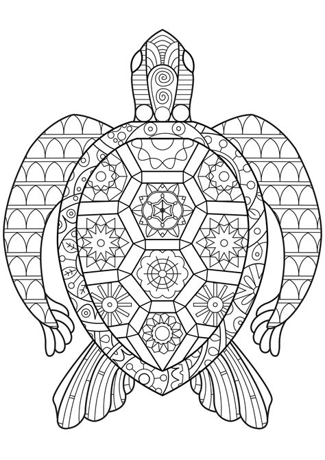 zen turtle turtles adult coloring pages