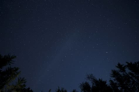 Imagen Gratis Estrellas Fugaces Cielo Nocturno Estrellas árboles Noche