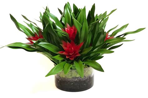 I have heard opinions ranging from with every watering to once a. Indoor Plants | The 20 Best Easy To Take Care Of ...