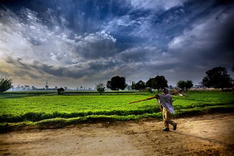 Pakistan Landscapes Man Farmer Agriculture Clouds Sky Trees Fog