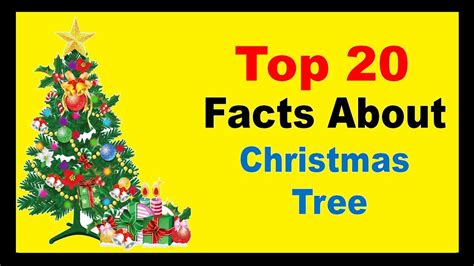 Christmas Tree Facts For Kids
