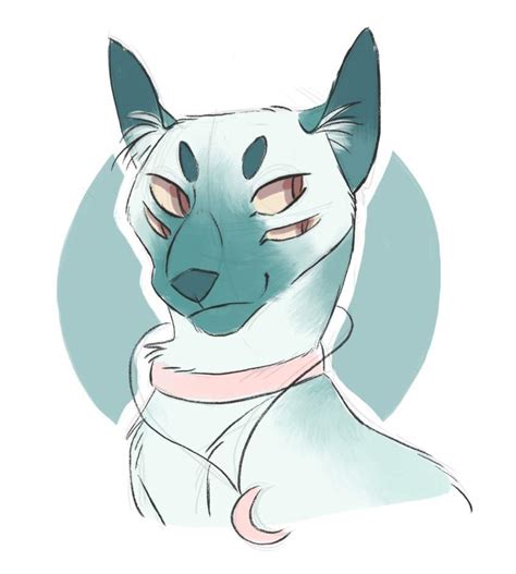 Cat drawing drawings of cats beautiful cats beautiful pictures art sketchbook animal paintings dog art pet portraits portrait paintings. dawa | Wiki | Warriors Amino