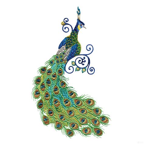 Peacock Feather Border Clipart Free Download On Clipartmag