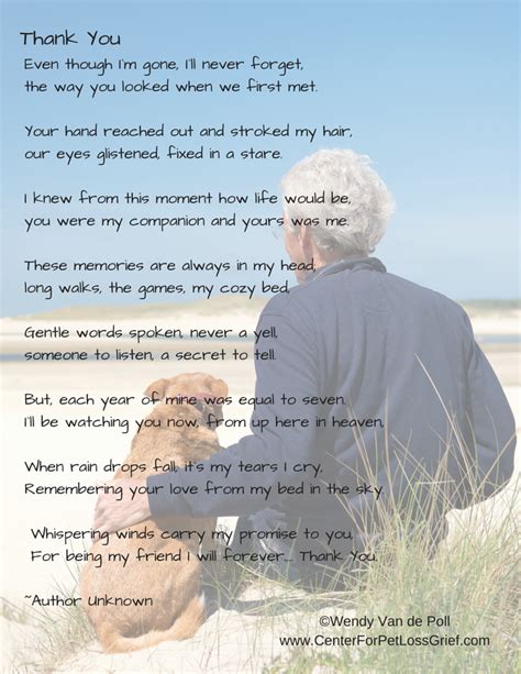 Pet Loss Poems To Support You Center For Pet Loss Grief