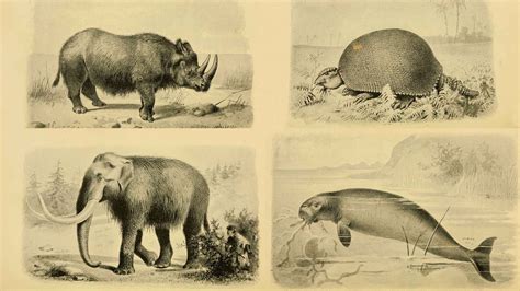 What Makes Some Species More Likely To Go Extinct