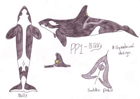 pp1 nikky by orcas of arlinde on deviantart