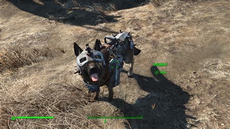 Simply Useful Dog Armor at Fallout 4 Nexus - Mods and community