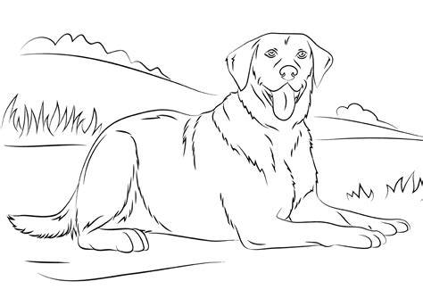 Labrador Coloring Pages Coloring Pages To Download And Print