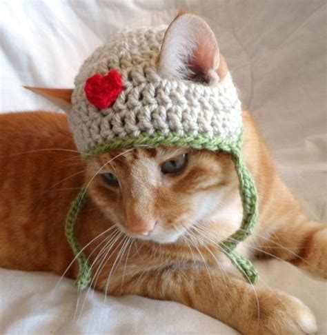 🥀🌿🌸🐾😽🐾🌸🌿🥀 Crochet Cat Hat Crochet Dog Crochet Cat