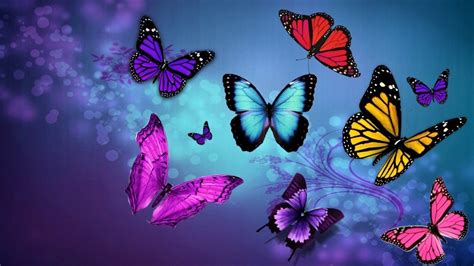 Colorful Butterflies Art Id 110171