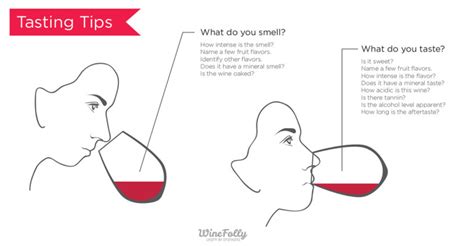 How To Tell If Youre A Supertaster Test Wine Folly